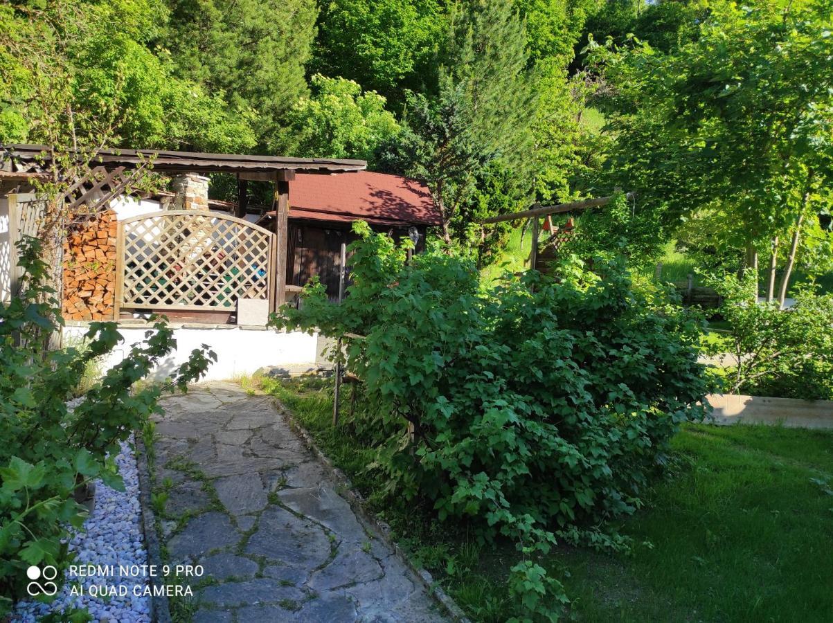 Ferienhaus Kraiter Schladming Exterior foto